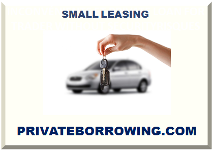 SMALL LEASING
