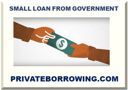 SMALL LOAN FROM GOVERNMENT