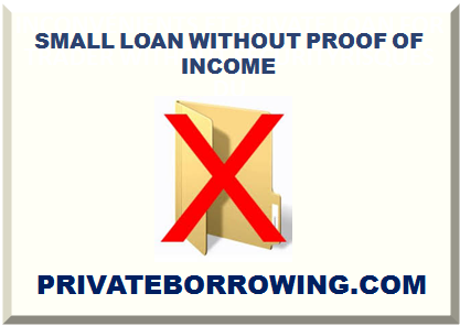 SMALL LOAN WITHOUT PROOF OF INCOME